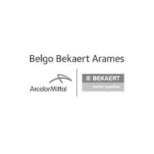 belgo-bakeart